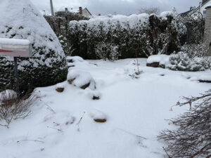 Gleich zu Beginn des Jahres hatten wir doch einiges an Schnee und es war  kalt - bis -10 Grad